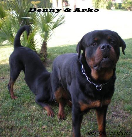 Arko - Roccia Nera